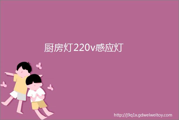 厨房灯220v感应灯